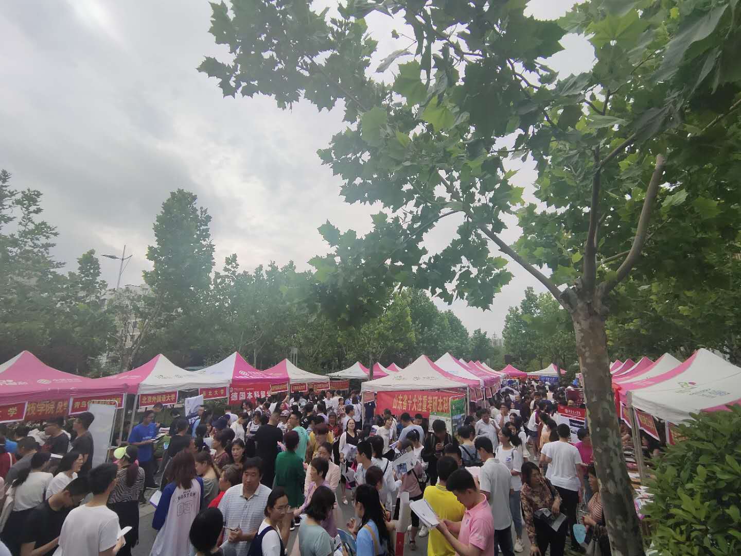 1564710416233908.jpg
